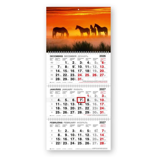 Sienas kalendārs 2027 gadam Standart Black, četrdaļīgs ar metāla spirāli, Savvaļas gars (100-02060)