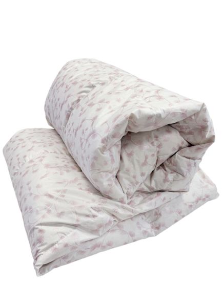 Spalvu sega Comfort Pluss tea rose