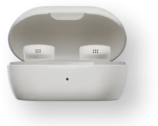 Austiņas BOSE QuietComfort Earbuds White Smoke (888507-0200)