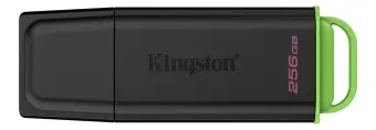 Zibatmiņa Kingston DataTraveler Exodia 256GB USB 3.2 Gen1 (DTXG2/256GB)