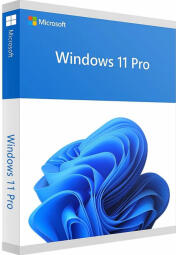 Microsoft Windows 11 Pro ENG Intl USB FPP (HAV-00163)
