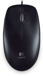 Logitech B100 Black (910-003357)