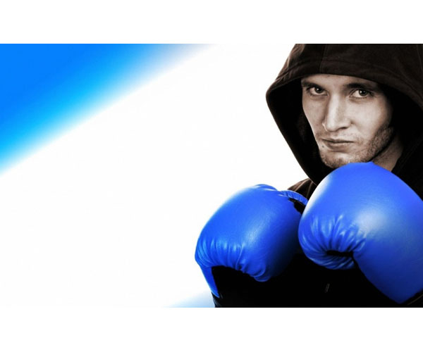 Перчатки для бокса и единоборств, MMA