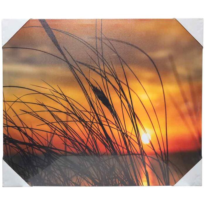 BESK Kanva ar fotoapdruku 50x60cm, Smilgas