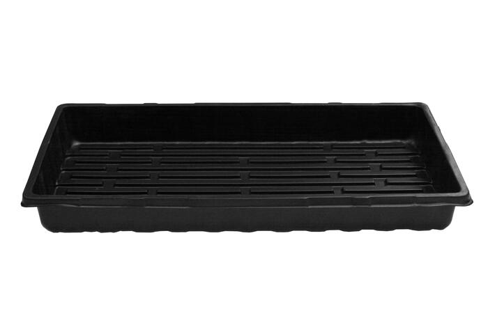 BESK Dēstu kastīte 55x28.5x6cm (4750959059319)