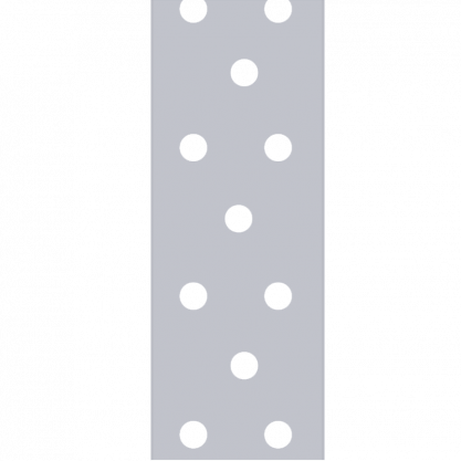 DMX Montāžas lenta TM2/10 40x2.0mm