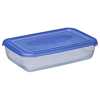 Uzglabāšanas trauciņš Polar box 900ml, zils