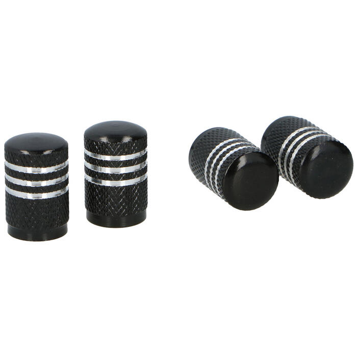 Dunlop Auto ventīļu micīte 4gb (8711252058160)
