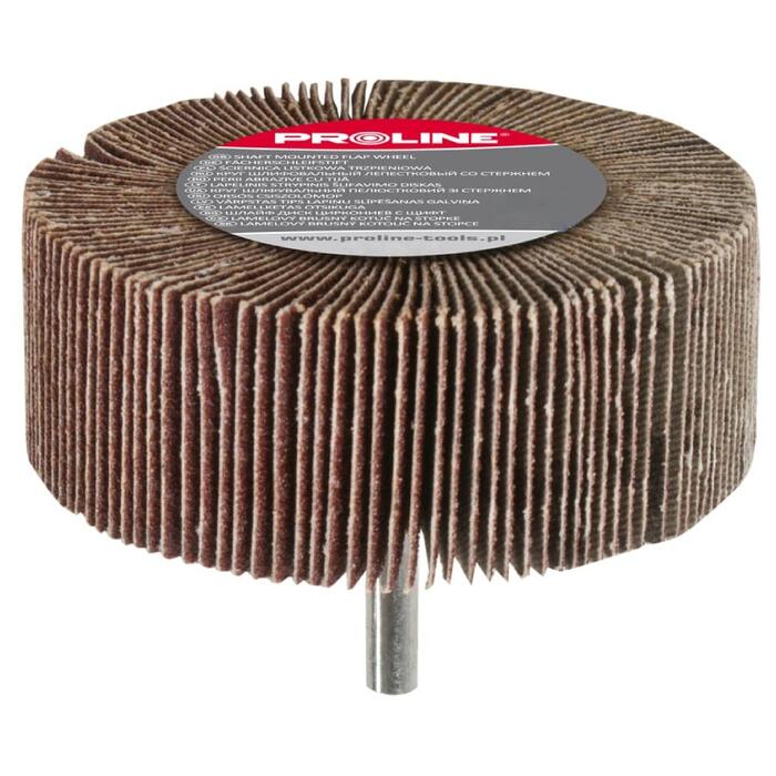 PROLINE Slīpēšanas disks 60x30mm ar asi