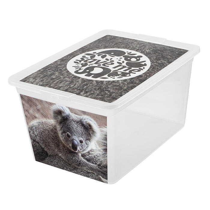 Branq Uzglabāšanas kaste 30L X box deco koala (5901098733083)