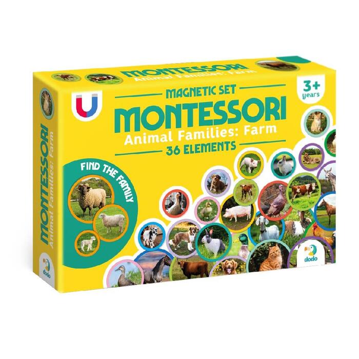 Dodo Attīstošā magnētiskā puzle Montessori Magnētiskais