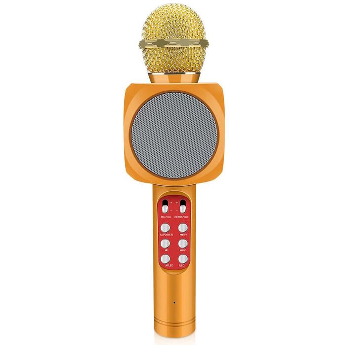 Riff WS-1816 16W karaoke BT mikrofons