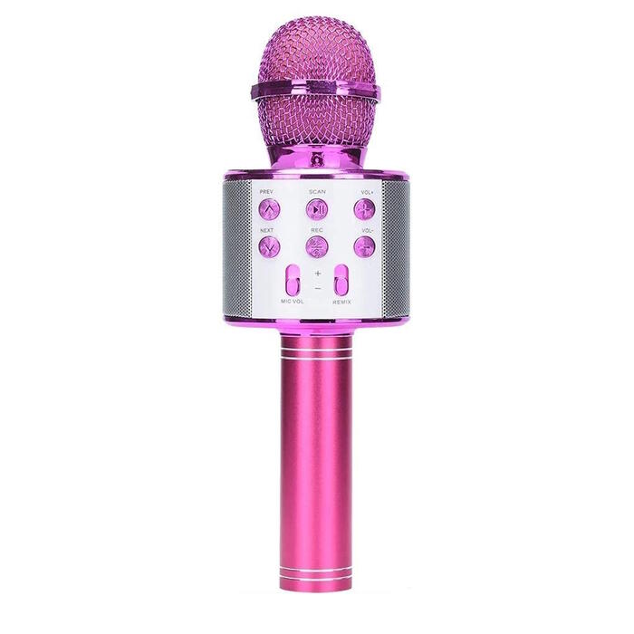 Riff WS-858 Karaoke Mikrofons ar Skaļruni