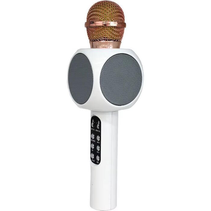 Riff WS-1816 16W karaoke BT mikrofons