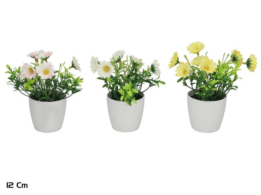 Mākslīgie ziedi, margrietiņa podiņā 17 cm
