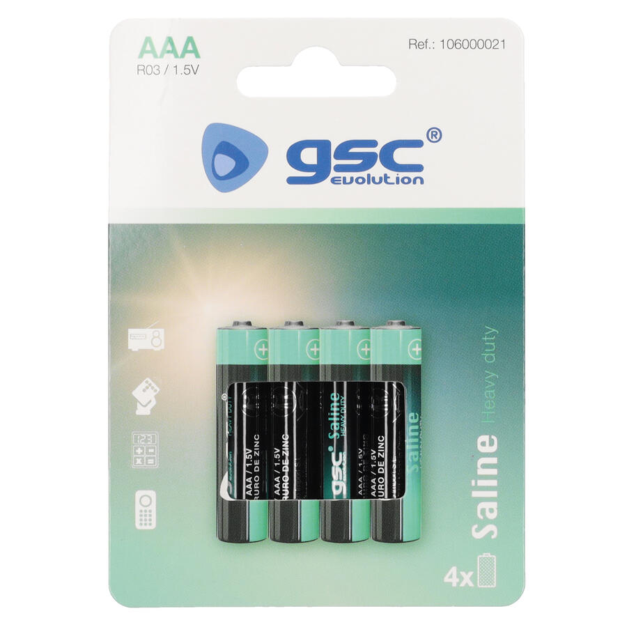 Батарейки GSC evolution Heavy Duty R03 (AAA), 4 шт./блистер, 106000021 (106000021)