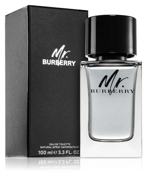 Burberry Mr. Burberry Smaržas EDT 100