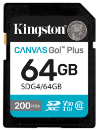 Kingston Canvas Go Plus Gen4 Atmiņas
