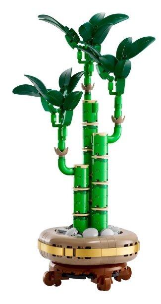 LEGO ICONS 10344 The Botanical Collection