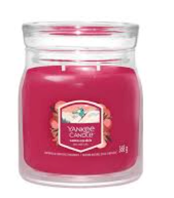Yankee Candle Santa On Skis Aromātiskā svece 368 g (5038581167183)