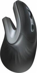 Trust Verro Ergonomic Bezvadu Datorpele (23507)