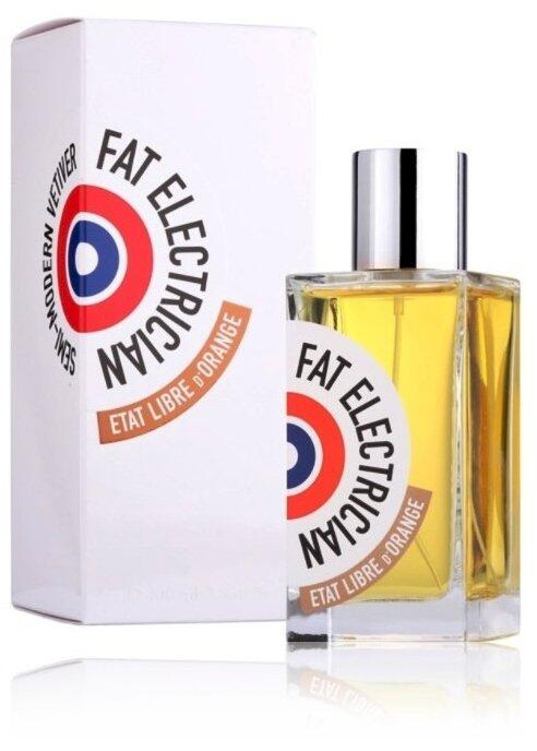 Etat Libre d’Orange Fat Electrician Semi-Modern Vetiver Парфюм EDP 100 ml (3760168591105)
