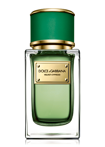 Dolce & Gabbana Velvet Cypress Парфюмированная вода EDP 150 ml (730870225509)