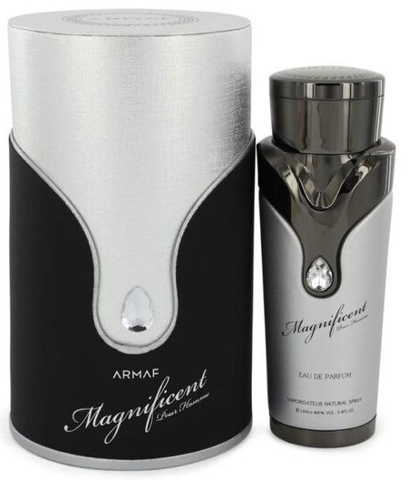 Armaf Magnificent Pour Homme Парфюм EDP 100 ml (6294015108941)