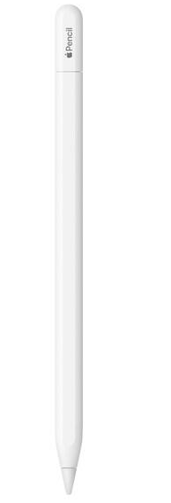 Apple MUWA3ZM/A Pencil Stylus Irbulis USB-C