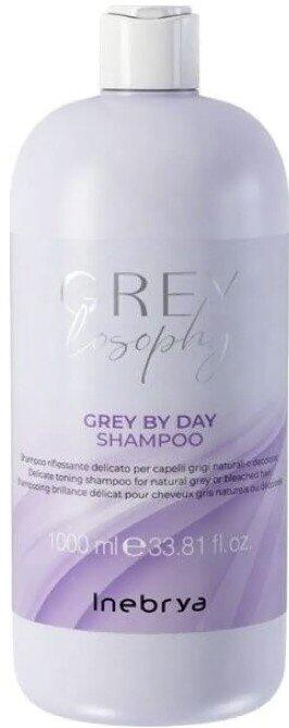 Inebrya GREYlosophy Shampoo Шампунь 1000ml (8008277264783)