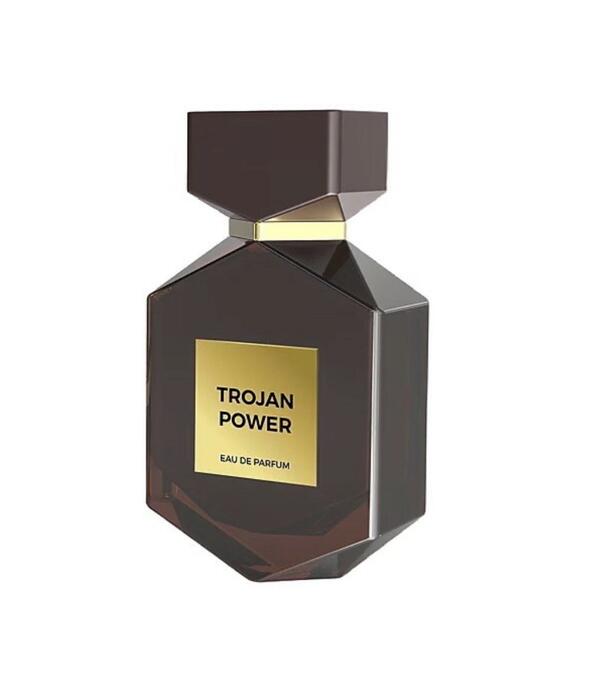 Camara Trojan Power Парфюм EDP 100ml (6294019023530)
