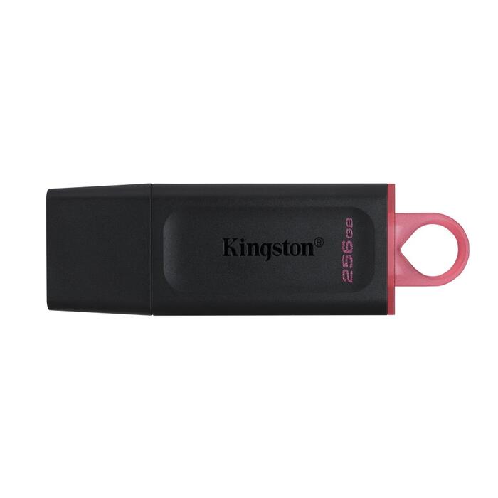 Kingston 256GB USB 3.2 Gen1 DataTraveler флешка (DTX/256GB)