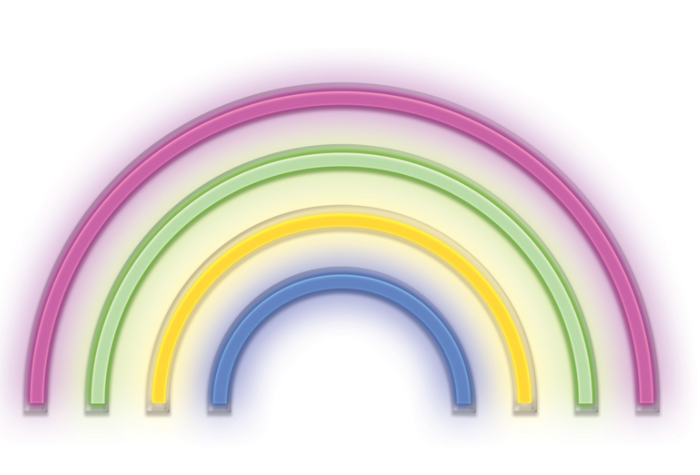 Forever Light FLNE14X RAINBOW Neon LED