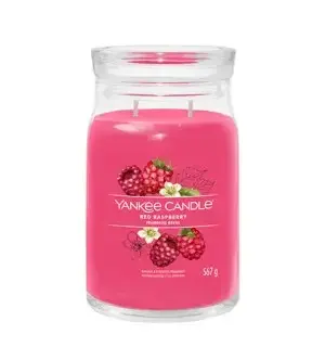 Yankee Candle Red Raspberry Ароматическая свеча 567 g (5038581124964)