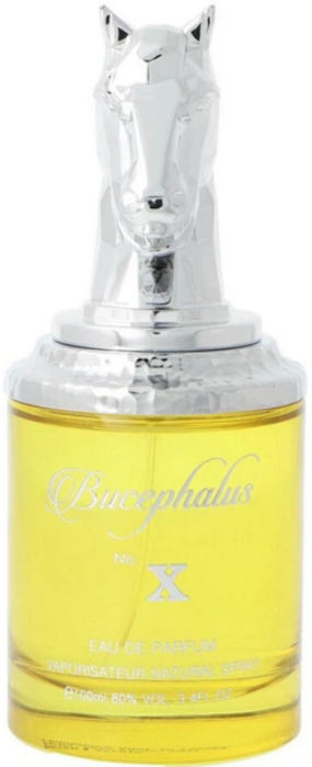 Armaf Bucephalus No. X Парфюм EDP 100ml (6294015118858)