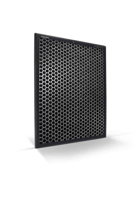 Philips 2000 series FY2420/30 Filtrs (FY2420/30)