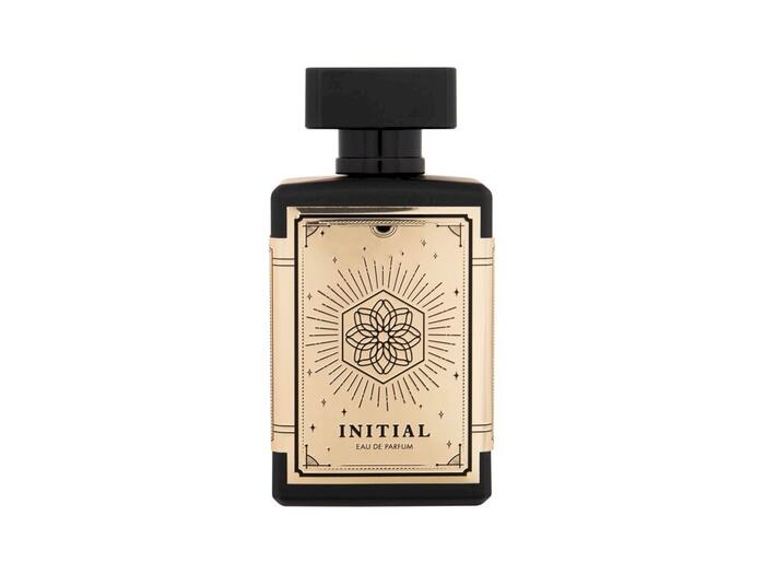 Flavia Parfum Initial Парфюмированная вода EDP 100ml (6294015157017)