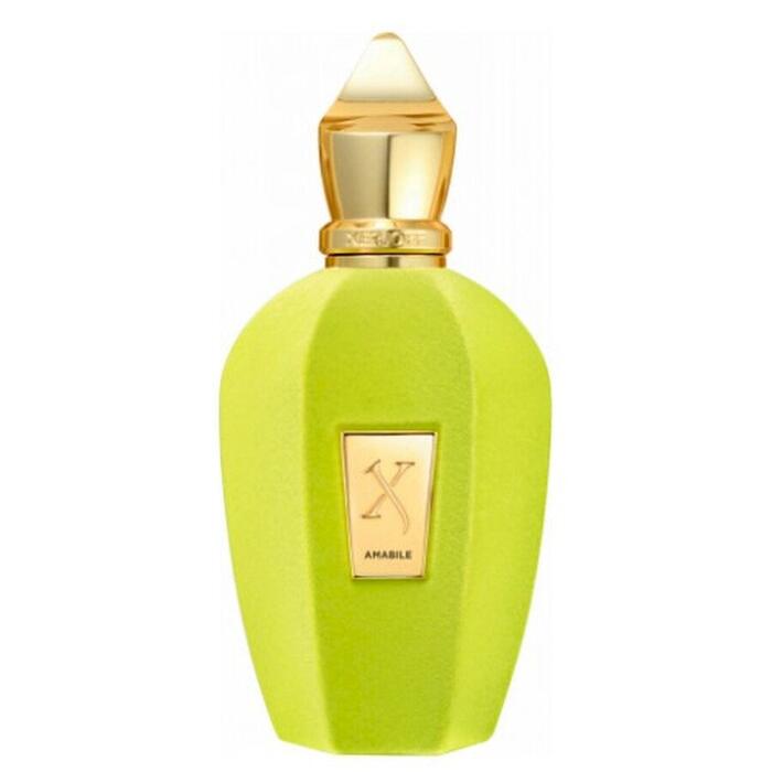 Xerjoff V Collection Парфюмированная вода EDP 100ml (8054320902751)