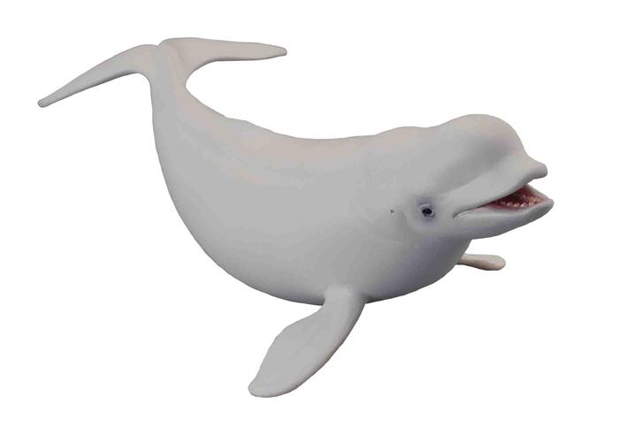 Collecta Beluga valis 88568