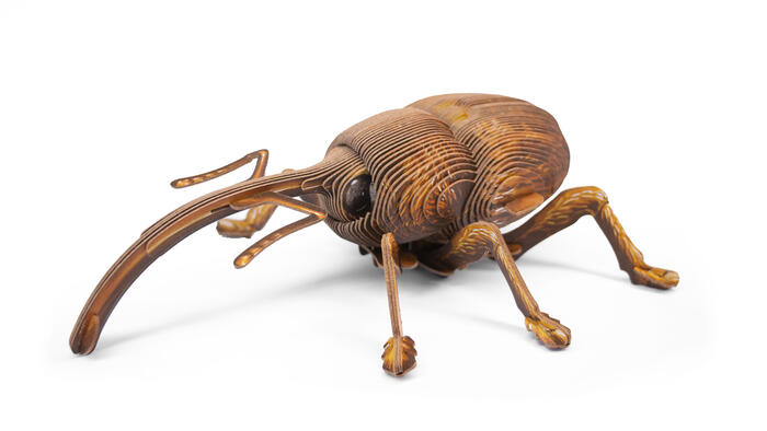 MAKEBUG 3D papīra puzle Degunradžvabole, MB-B-0004