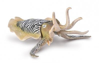 COLLECTA Jūras dzīvnieks Common Cuttlefish (XL), 80009