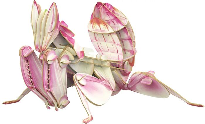 MAKEBUG 3D papīra puzle Orhideju dievlūdzējs, MB-B-0003