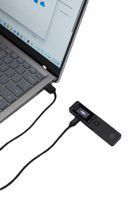 AIWA digitālais balss ierakstītājs, 16 GB, melns (DVR-A400)