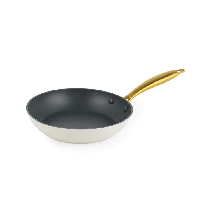Salter BW14597 Aerotech Professional 20cm Fry