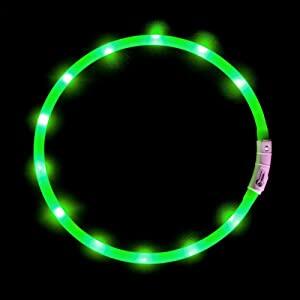Anicoll LED Collar for Dogs and Cats Green