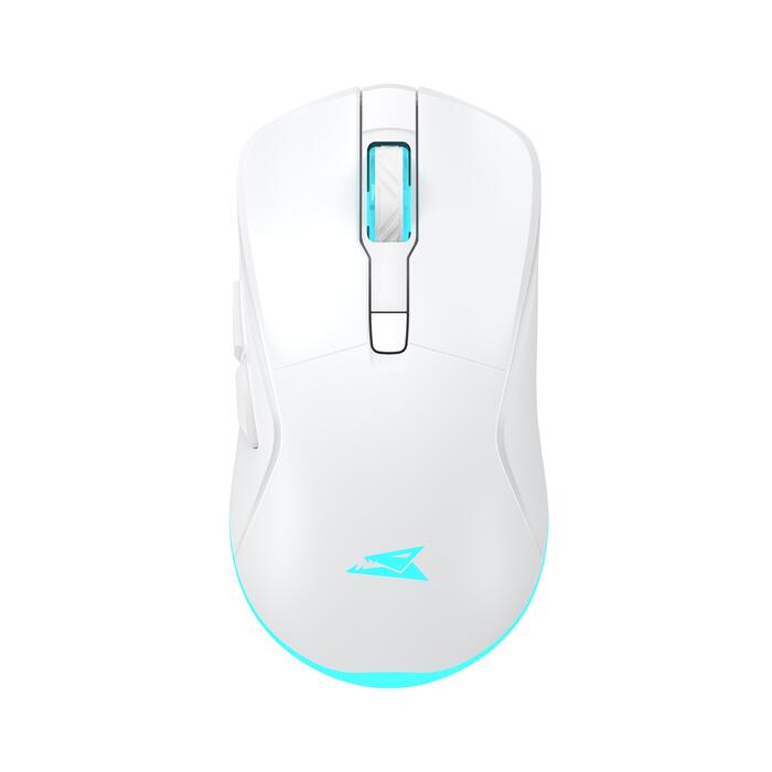 Baracuda TURTLE-W BGM-122, White