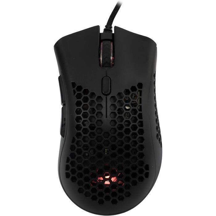Baracuda CORAL-B BGM-031,l Black (CORAL-B)