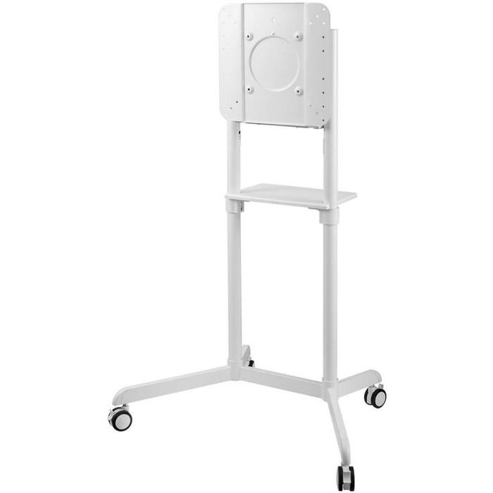 Neomounts grīdas statīvs NS-M1250WHITE, līdz 70"