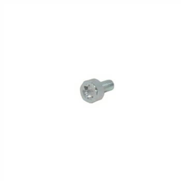 Skrūve Torx 4 CS-352/550/590/600, ECHO, V804000030