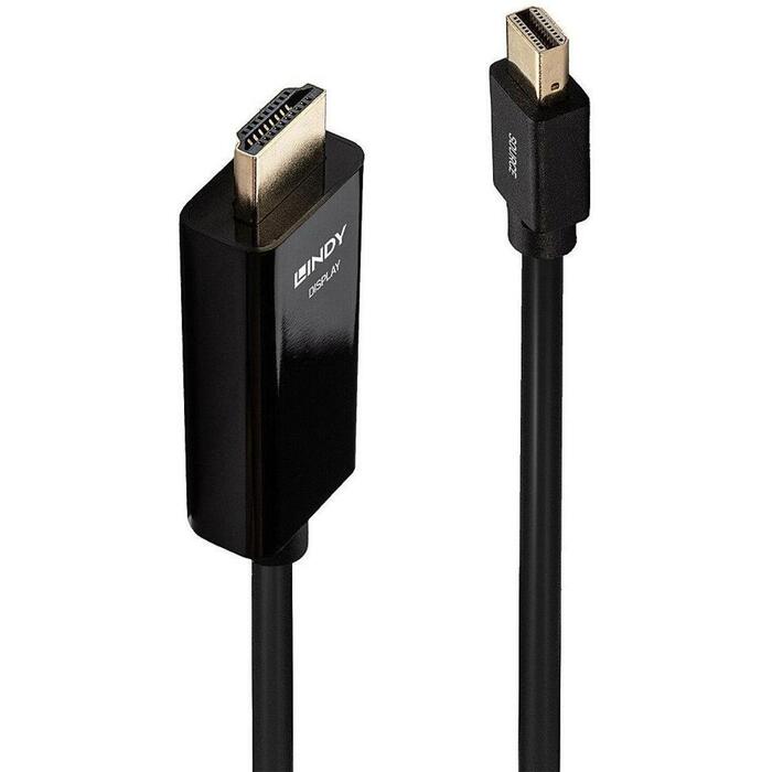 Lindy Video kabelis adapteris 36926, 1